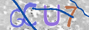 キャプチャ画像